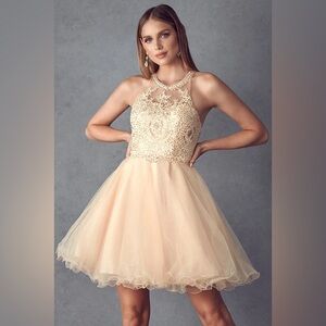 Lace Applique Short Halter Dress